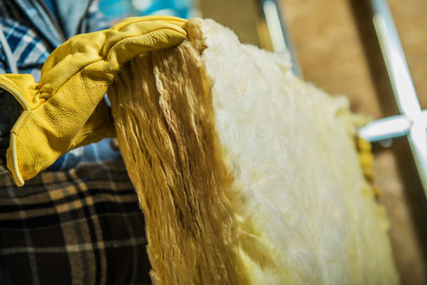 Best Residential Insulation in Spring Valley, AZ