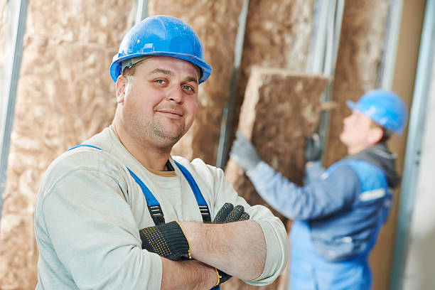 Professional Insulation Contractor in Spring Valley, AZ