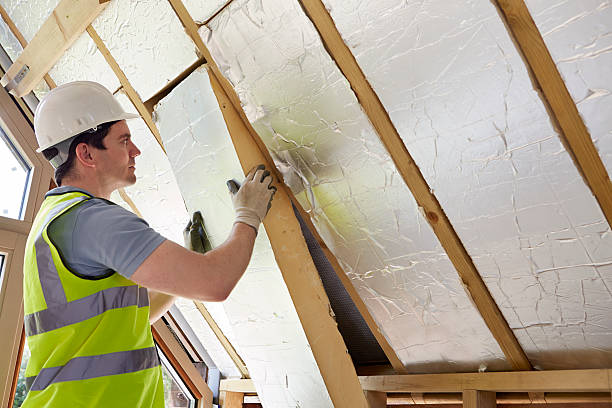 Best Spray Foam Insulation in Spring Valley, AZ