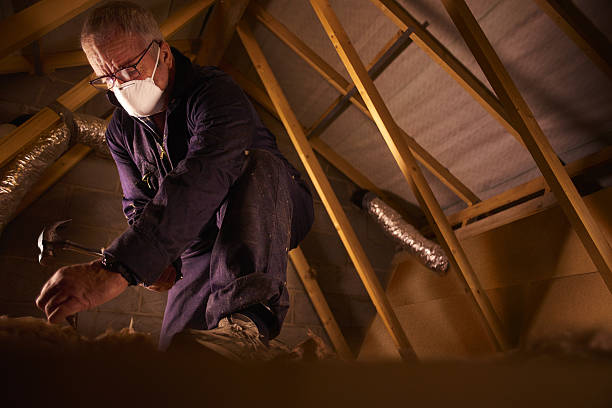 Best Cellulose Insulation in Spring Valley, AZ